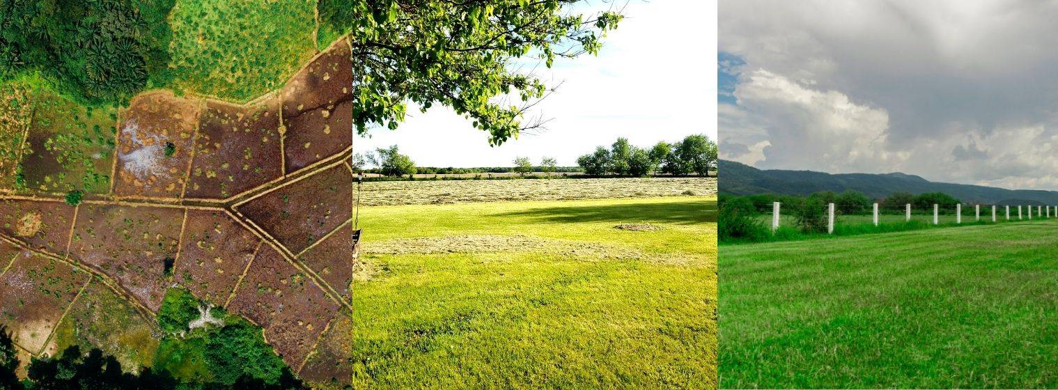 Land Advisory