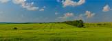 Land Advisory